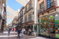 Hostia v ubytovaní Abades Giralda View by Valcambre