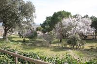 Paisaje cerca de este agroturismo