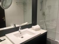 a bathroom with a white sink and a shower at Hotel Palladia in Toulouse
