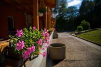 PopoviceにあるPenzion Amfík Bukovinaの建物の棚に置かれた鉢植えの花