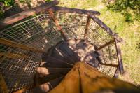 Půdorys ubytování Treehouse Stvořidla