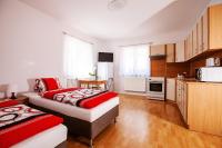Kuchyň nebo kuchyňský kout v ubytování Apartmán Dominhaus