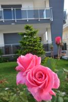 Vonkajšia záhrada v ubytovaní B&B La Rosa dei Venti