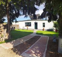 a white house with a tree and a brick walkway at Ferienwohnung Dobberzin nahe Mündesee in Angermünde