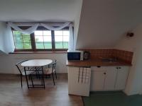 Kuchnia lub aneks kuchenny w obiekcie Penzion Chlumec