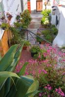 A garden outside MIRADOR DEL VALLE