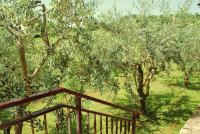 Zahrada ubytování Villa Dorina