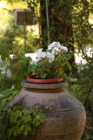 A garden outside Le Querce Hotel