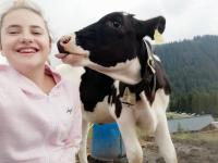 Zvířata v apartmánu nebo okolí