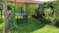 Ogród w obiekcie Appartamento Dolcitalia in Lazise
