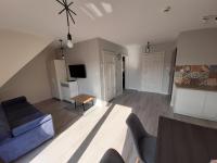 Televízia a/alebo spoločenská miestnosť v ubytovaní Szczawnica Apartament C6