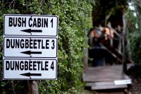 two street signs with arrows pointing in different directions at Addo Dung Beetle Guest Farm in Addo
