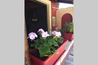 Vonkajšia záhrada v ubytovaní green hill studio corfu town