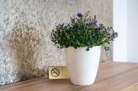 Půdorys ubytování Apartamenty, Boutique Rooms Villa 82, MIEJSCE PRKINGOWE
