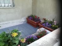 Vonkajšia záhrada v ubytovaní L Agrifoglio di Rita Loddo
