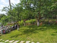 Zahrada ubytování Villa Savovi