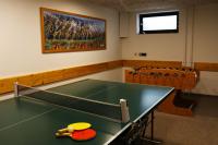 Stolný tenis v ubytovaní Pension Schachernhof alebo v jeho okolí