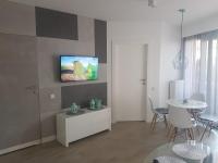 Televízia a/alebo spoločenská miestnosť v ubytovaní Apartament Horyzont 101