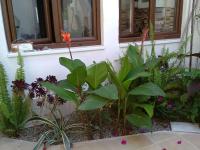 A garden outside Mistral Sardegna