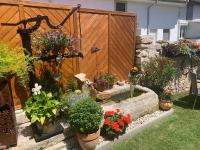 A garden outside Ferienwohnungen zum Briefmarkenhaus