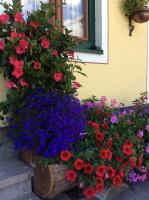 A garden outside Pension-Greimelbacherhof