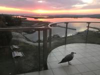 a bird standing on a balcony with a view of a river at Panorama Apartman in Velence