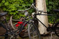 Jazda na bicykli v okolí ubytovania City Appartement