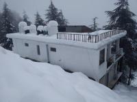 Budget stay in Khajjiar - Housity