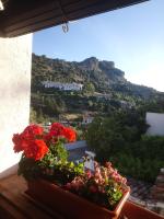 Príroda v okolí of the country house