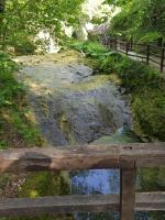 アパートメントの近くで見られる自然の景観