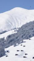 Ferienwohnung Alpenheim v zime