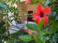 A garden outside Avgi Garden House Chania with private entrance