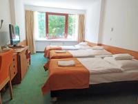 Posteľ alebo postele v izbe v ubytovaní Interferie Sport Hotel Bornit