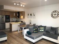 Kuchnia lub aneks kuchenny w obiekcie Apartament Złota Brama
