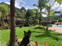 Ein Garten an der Unterkunft Maleedee Bay Resort