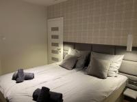Posteľ alebo postele v izbe v ubytovaní Apartament Opieszyn 16