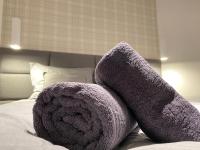 Posteľ alebo postele v izbe v ubytovaní Apartament Opieszyn 16