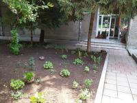 Zahrada ubytování Hotel Rositsa