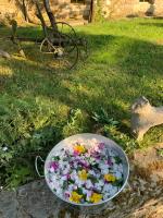 A garden outside Casa Ferreiro - Campo da Cruz - Lugo