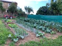 A garden outside Casa Ferreiro - Campo da Cruz - Lugo