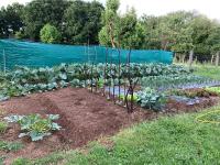 A garden outside Casa Ferreiro - Campo da Cruz - Lugo