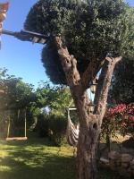 A garden outside Il Vicolo Palinuro