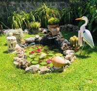 A garden outside Il Vicolo Palinuro