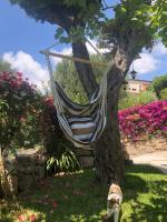 A garden outside Il Vicolo Palinuro