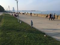 Hostia v ubytovaní Fregata Apartment Gdynia