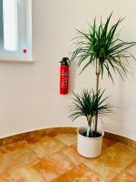 Plán poschodí v ubytovaní Villa Amica