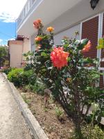 A garden outside "Thea" Apartment 2