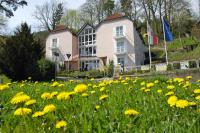 un campo de flores amarillas delante de una casa en AltstadtHotel an der Werra, en Meiningen