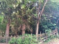 Vonkajšia záhrada v ubytovaní Naturforsthaus Gartenblick für Hunde - und naturverbundene Menschen