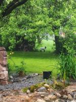Vonkajšia záhrada v ubytovaní Naturforsthaus Gartenblick für Hunde - und naturverbundene Menschen